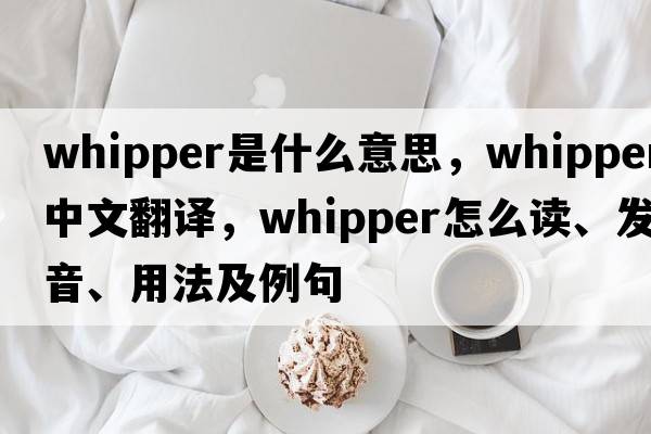 whipper是什么意思，whipper中文翻譯，whipper怎么讀、發(fā)音、用法及例句