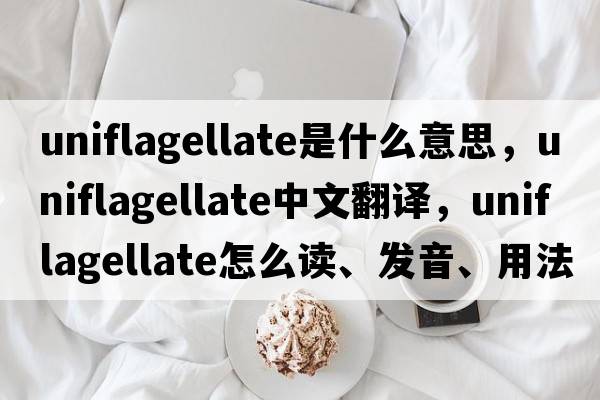uniflagellate是什么意思，uniflagellate中文翻譯，uniflagellate怎么讀、發(fā)音、用法及例句