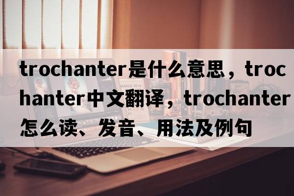 trochanter是什么意思，trochanter中文翻譯，trochanter怎么讀、發(fā)音、用法及例句
