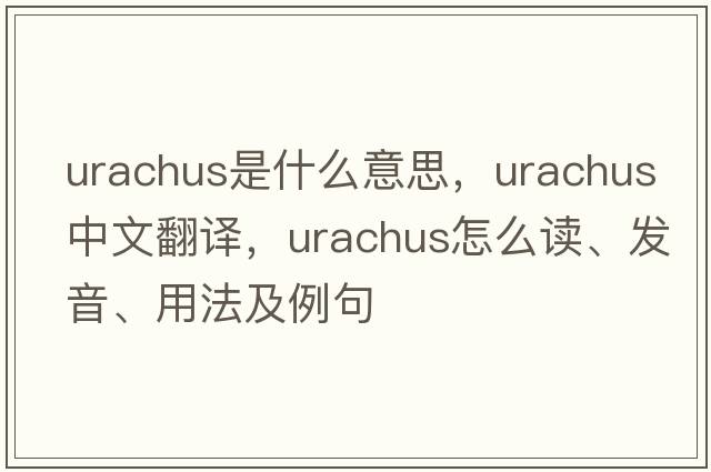 urachus是什么意思，urachus中文翻譯，urachus怎么讀、發(fā)音、用法及例句