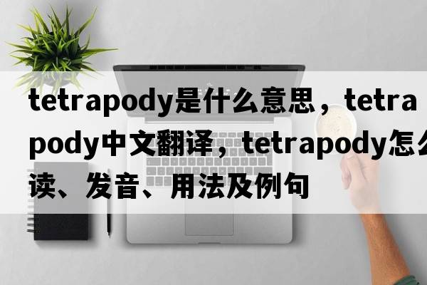 tetrapody是什么意思，tetrapody中文翻譯，tetrapody怎么讀、發(fā)音、用法及例句