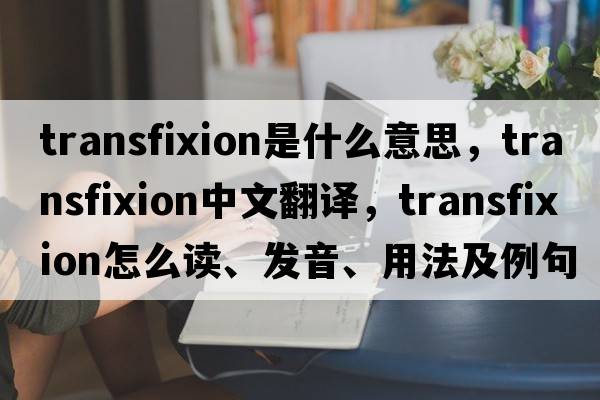 transfixion是什么意思，transfixion中文翻譯，transfixion怎么讀、發(fā)音、用法及例句