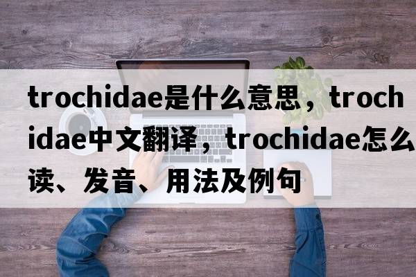 Trochidae是什么意思，Trochidae中文翻譯，Trochidae怎么讀、發(fā)音、用法及例句
