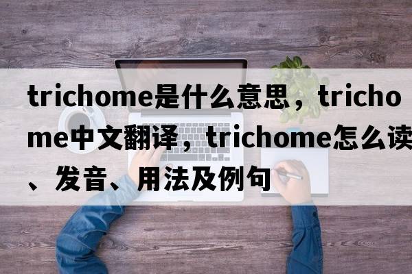 trichome是什么意思，trichome中文翻譯，trichome怎么讀、發(fā)音、用法及例句