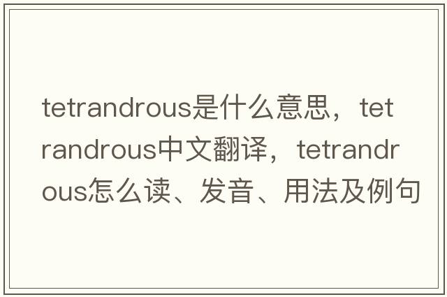 tetrandrous是什么意思，tetrandrous中文翻譯，tetrandrous怎么讀、發(fā)音、用法及例句