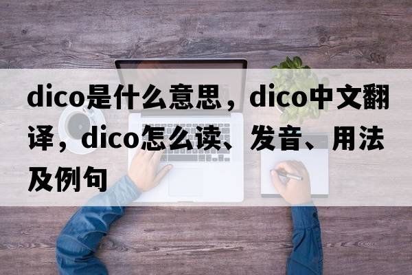 dico是什么意思，dico中文翻譯，dico怎么讀、發(fā)音、用法及例句