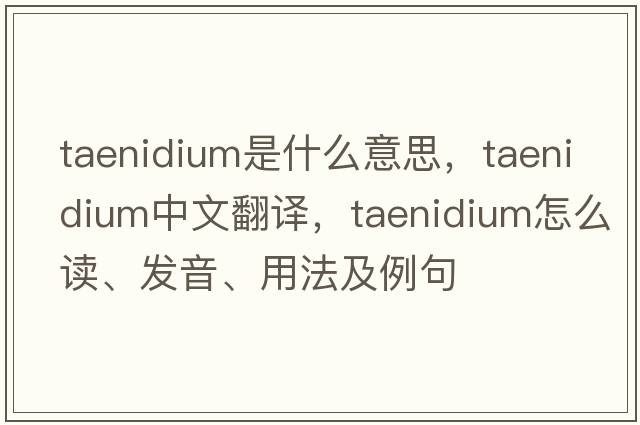 taenidium是什么意思，taenidium中文翻譯，taenidium怎么讀、發(fā)音、用法及例句