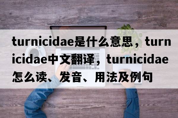 Turnicidae是什么意思，Turnicidae中文翻譯，Turnicidae怎么讀、發(fā)音、用法及例句