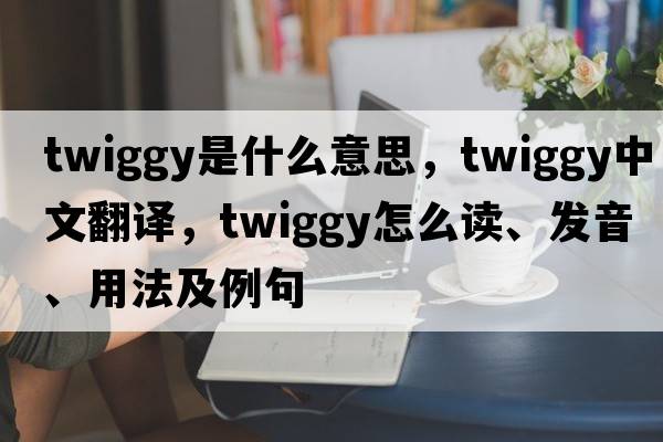 twiggy是什么意思，twiggy中文翻譯，twiggy怎么讀、發(fā)音、用法及例句