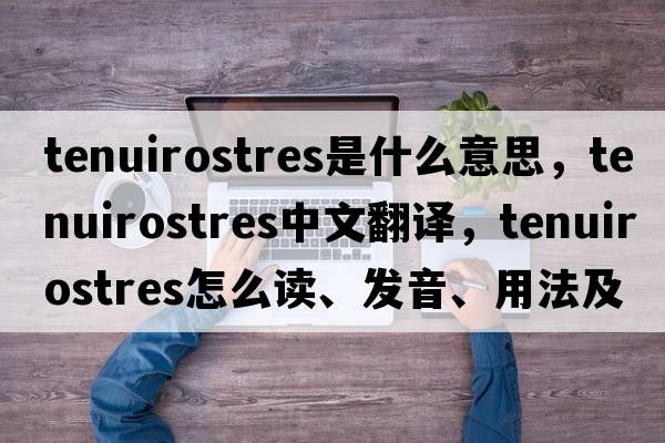 Tenuirostres是什么意思，Tenuirostres中文翻譯，Tenuirostres怎么讀、發(fā)音、用法及例句