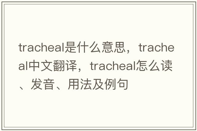 tracheal是什么意思，tracheal中文翻譯，tracheal怎么讀、發(fā)音、用法及例句