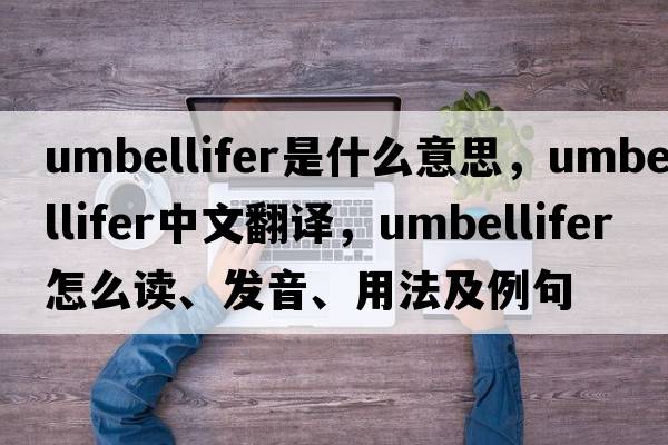 umbellifer是什么意思，umbellifer中文翻譯，umbellifer怎么讀、發(fā)音、用法及例句