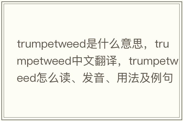 trumpetweed是什么意思，trumpetweed中文翻譯，trumpetweed怎么讀、發(fā)音、用法及例句