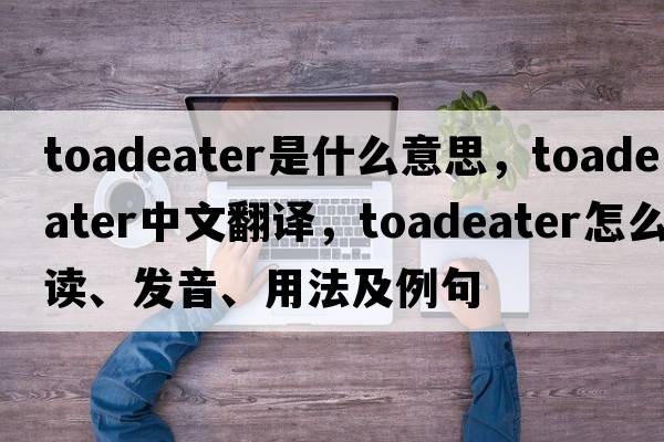 toadeater是什么意思，toadeater中文翻譯，toadeater怎么讀、發(fā)音、用法及例句