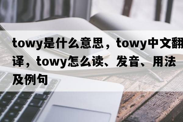 towy是什么意思，towy中文翻譯，towy怎么讀、發(fā)音、用法及例句