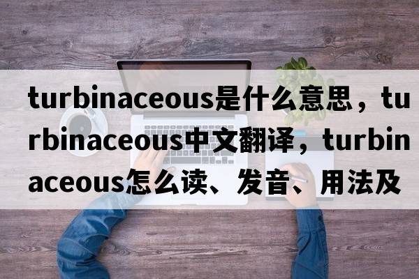 turbinaceous是什么意思，turbinaceous中文翻譯，turbinaceous怎么讀、發(fā)音、用法及例句