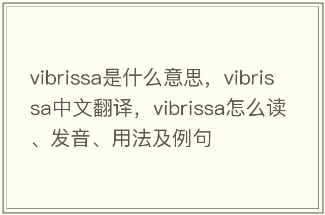 vibrissa是什么意思，vibrissa中文翻譯，vibrissa怎么讀、發(fā)音、用法及例句