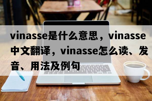 vinasse是什么意思，vinasse中文翻譯，vinasse怎么讀、發(fā)音、用法及例句