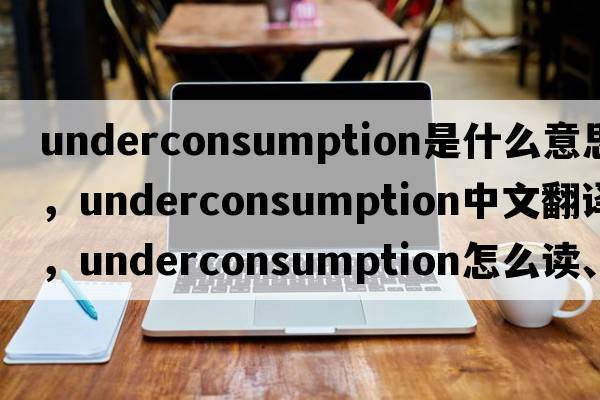 underconsumption是什么意思，underconsumption中文翻譯，underconsumption怎么讀、發(fā)音、用法及例句