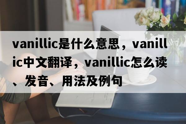 vanillic是什么意思，vanillic中文翻譯，vanillic怎么讀、發(fā)音、用法及例句