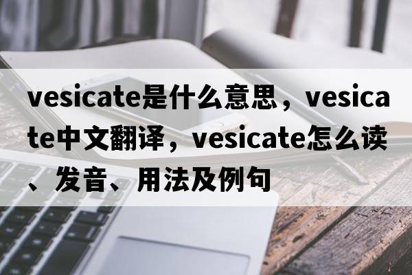 vesicate是什么意思，vesicate中文翻譯，vesicate怎么讀、發(fā)音、用法及例句