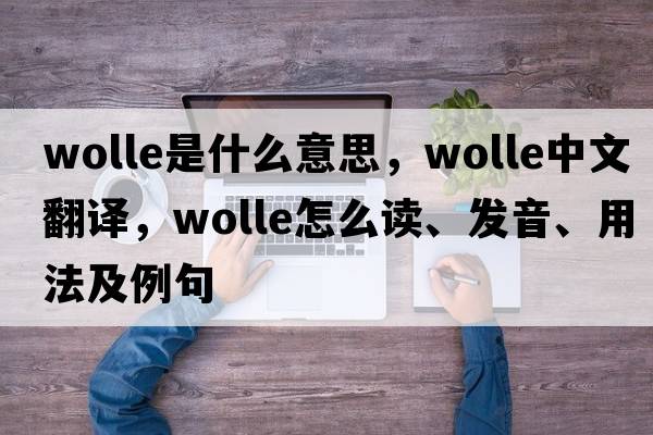 Wolle是什么意思，Wolle中文翻譯，Wolle怎么讀、發(fā)音、用法及例句