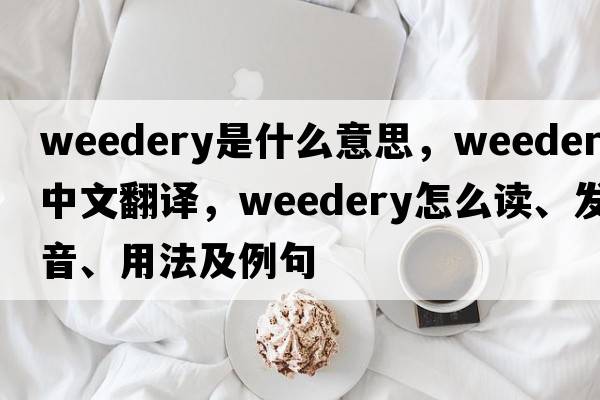 weedery是什么意思，weedery中文翻譯，weedery怎么讀、發(fā)音、用法及例句