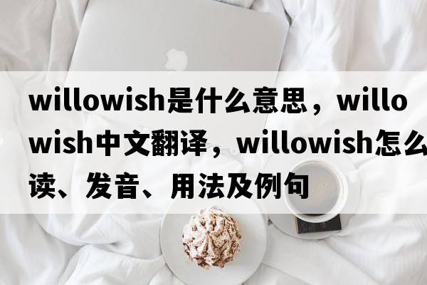 willowish是什么意思，willowish中文翻譯，willowish怎么讀、發(fā)音、用法及例句