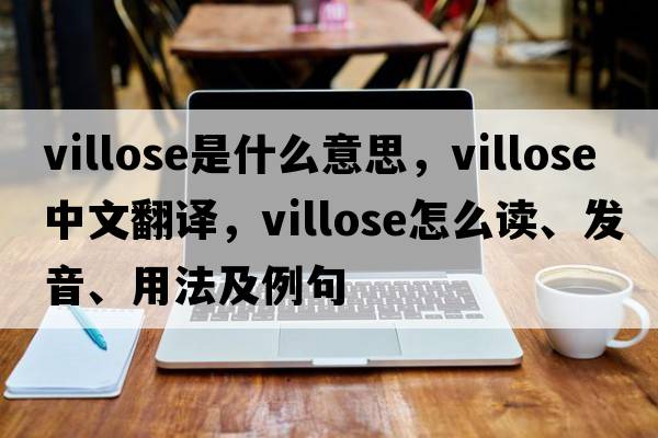 villose是什么意思，villose中文翻譯，villose怎么讀、發(fā)音、用法及例句