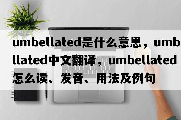 umbellated是什么意思，umbellated中文翻譯，umbellated怎么讀、發(fā)音、用法及例句