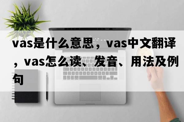 vas是什么意思，vas中文翻譯，vas怎么讀、發(fā)音、用法及例句