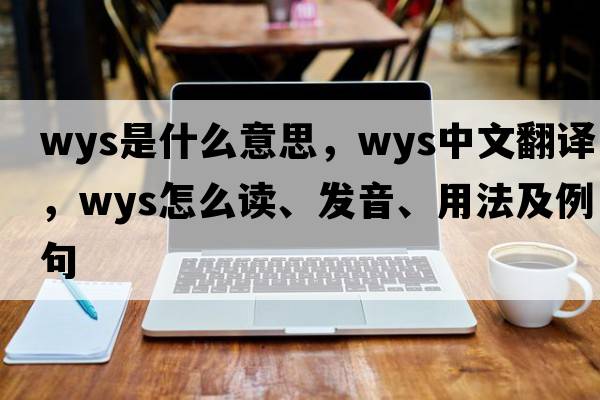WYS是什么意思，WYS中文翻譯，WYS怎么讀、發(fā)音、用法及例句