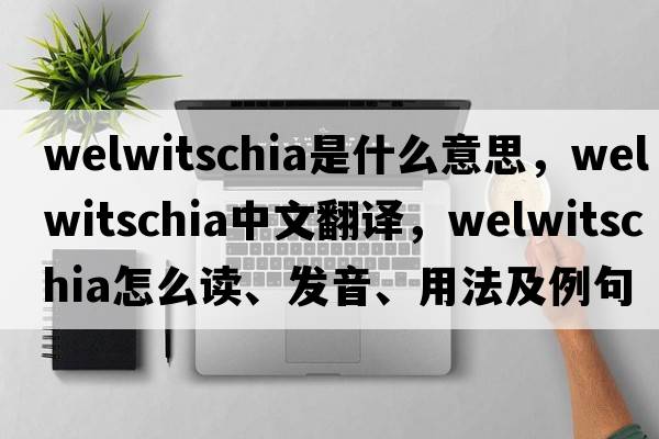 welwitschia是什么意思，welwitschia中文翻譯，welwitschia怎么讀、發(fā)音、用法及例句