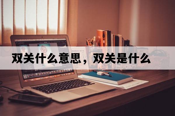 雙關(guān)什么意思，雙關(guān)是什么