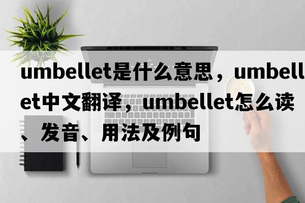 umbellet是什么意思，umbellet中文翻譯，umbellet怎么讀、發(fā)音、用法及例句