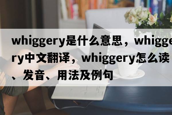 Whiggery是什么意思，Whiggery中文翻譯，Whiggery怎么讀、發(fā)音、用法及例句