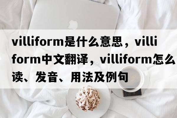 villiform是什么意思，villiform中文翻譯，villiform怎么讀、發(fā)音、用法及例句