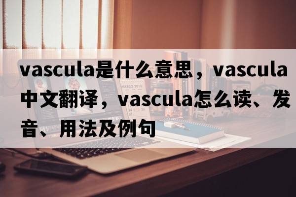 vascula是什么意思，vascula中文翻譯，vascula怎么讀、發(fā)音、用法及例句