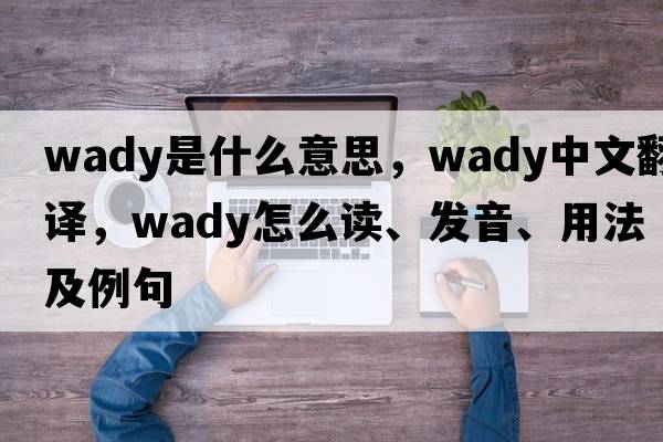 wady是什么意思，wady中文翻譯，wady怎么讀、發(fā)音、用法及例句