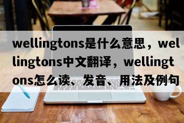 wellingtons是什么意思，wellingtons中文翻譯，wellingtons怎么讀、發(fā)音、用法及例句