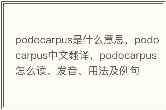 podocarpus是什么意思，podocarpus中文翻譯，podocarpus怎么讀、發(fā)音、用法及例句