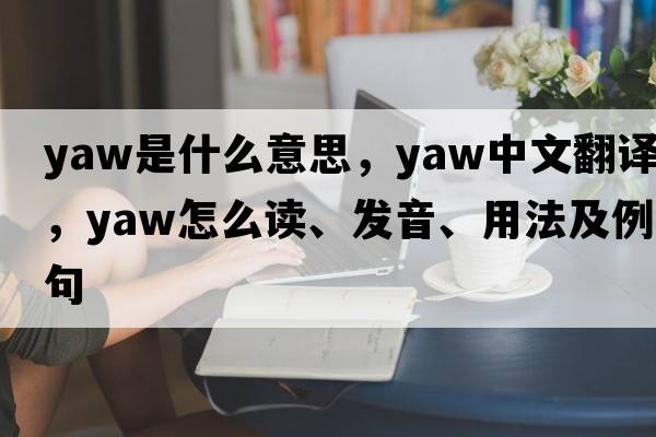 yaw是什么意思，yaw中文翻譯，yaw怎么讀、發(fā)音、用法及例句