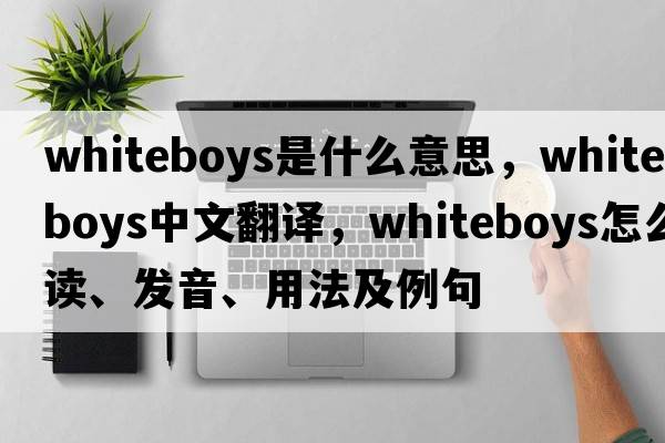 Whiteboys是什么意思，Whiteboys中文翻譯，Whiteboys怎么讀、發(fā)音、用法及例句