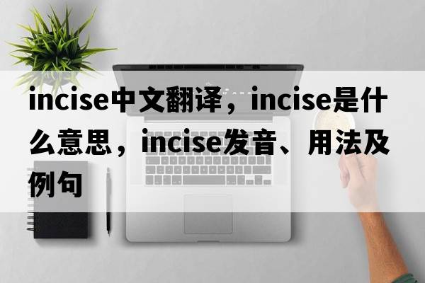 incise中文翻譯，incise是什么意思，incise發(fā)音、用法及例句