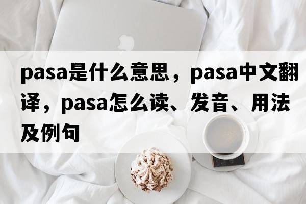 pasa是什么意思，pasa中文翻譯，pasa怎么讀、發(fā)音、用法及例句