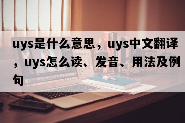 Uys是什么意思，Uys中文翻譯，Uys怎么讀、發(fā)音、用法及例句