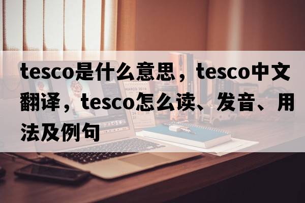 Tesco是什么意思，Tesco中文翻譯，Tesco怎么讀、發(fā)音、用法及例句