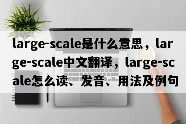 large-scale是什么意思，large-scale中文翻譯，large-scale怎么讀、發(fā)音、用法及例句