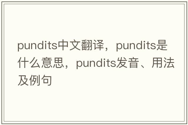 pundits中文翻譯，pundits是什么意思，pundits發(fā)音、用法及例句