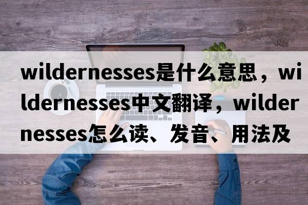 wildernesses是什么意思，wildernesses中文翻譯，wildernesses怎么讀、發(fā)音、用法及例句
